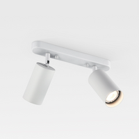 Verstelbare Dubbele Hoofdlamp voor aan het Plafond