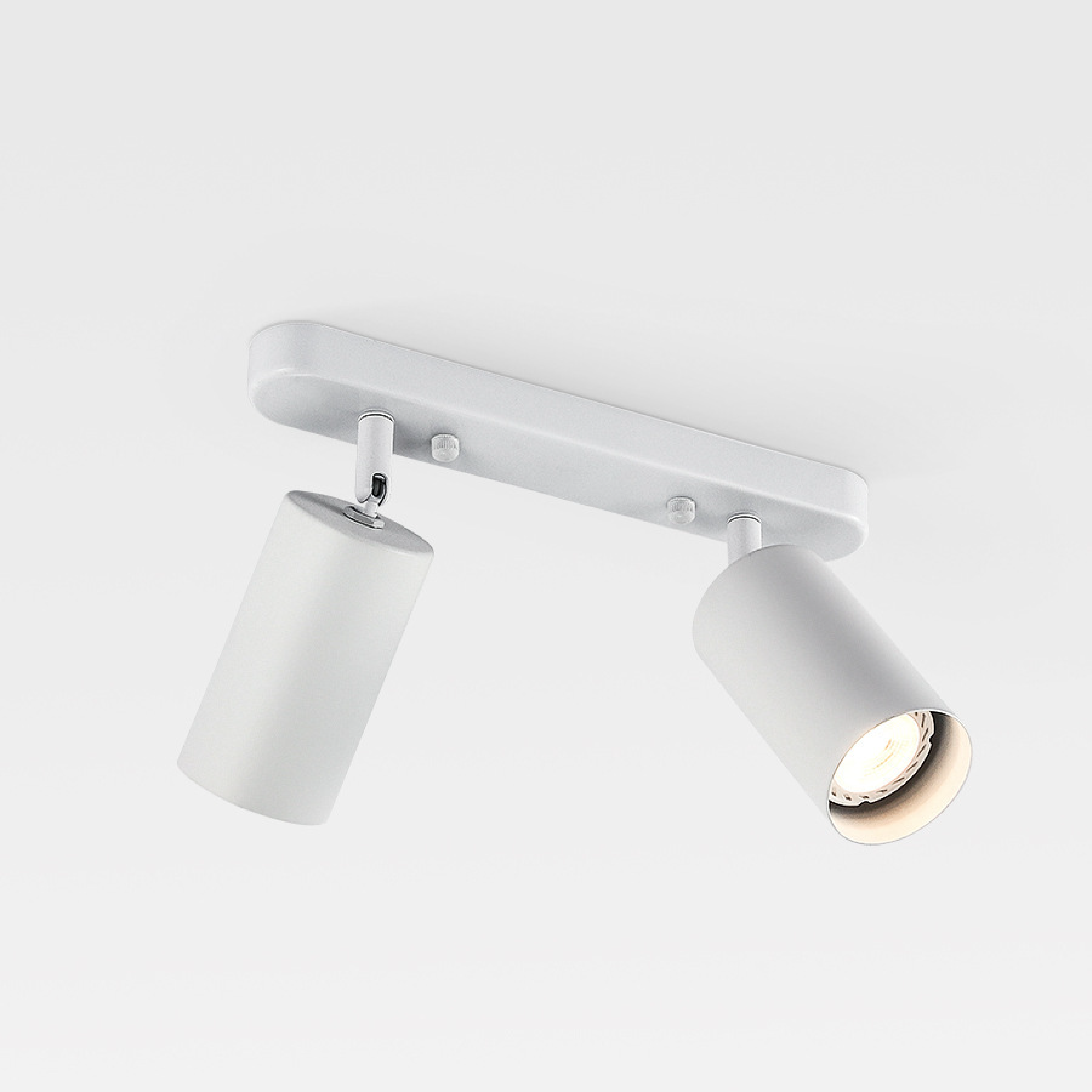 Verstelbare Dubbele Hoofdlamp voor aan het Plafond