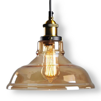 Getint glazen hanglamp met messing fitting