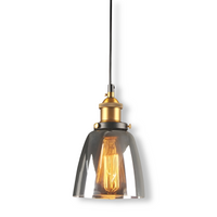 Getint glazen hanglamp met messing fitting