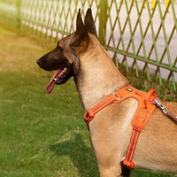 AstraPaw Nylon Harnas Voor Honden Met Reflecterende Bandjes, No-Pull, Voor Alle Maten