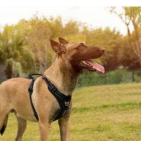 AstraPaw Nylon Harnas Voor Honden Met Reflecterende Bandjes, No-Pull, Voor Alle Maten
