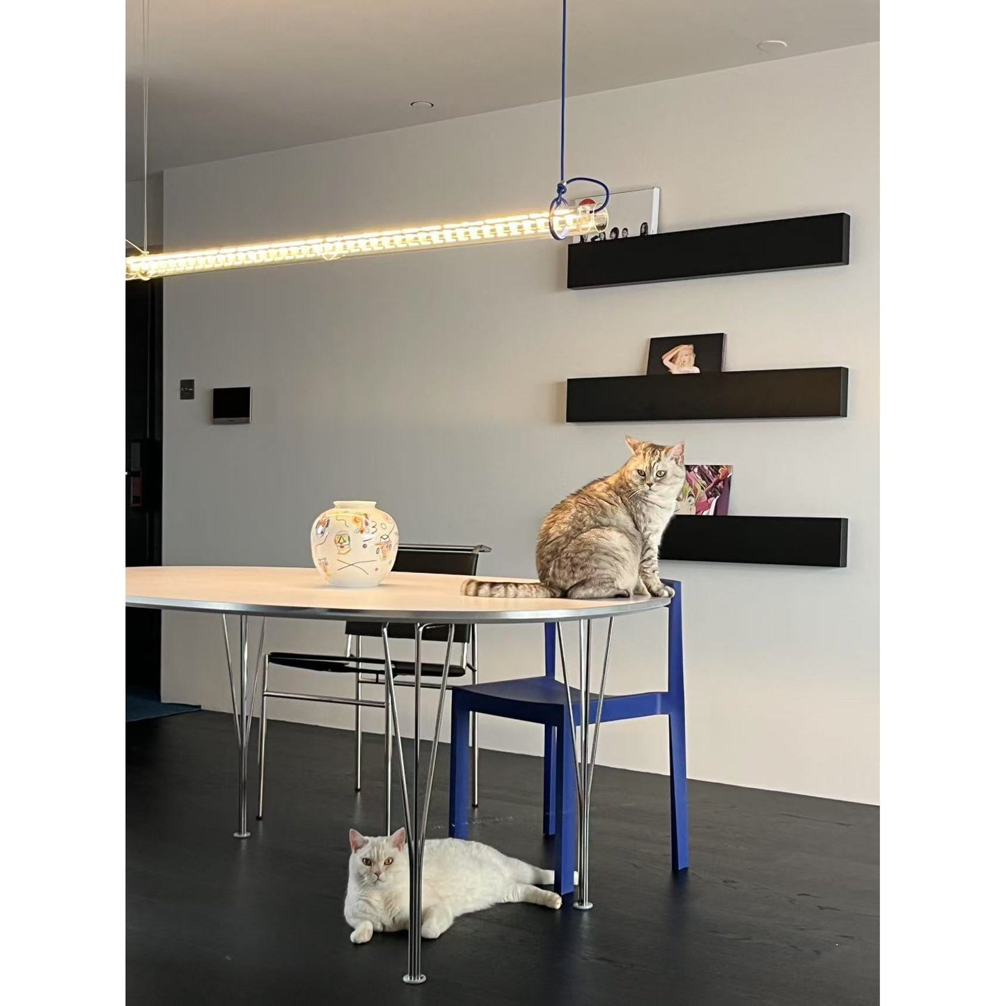 Cata Moderne Minimalisme Lineair LED Glas Licht Hanglamp