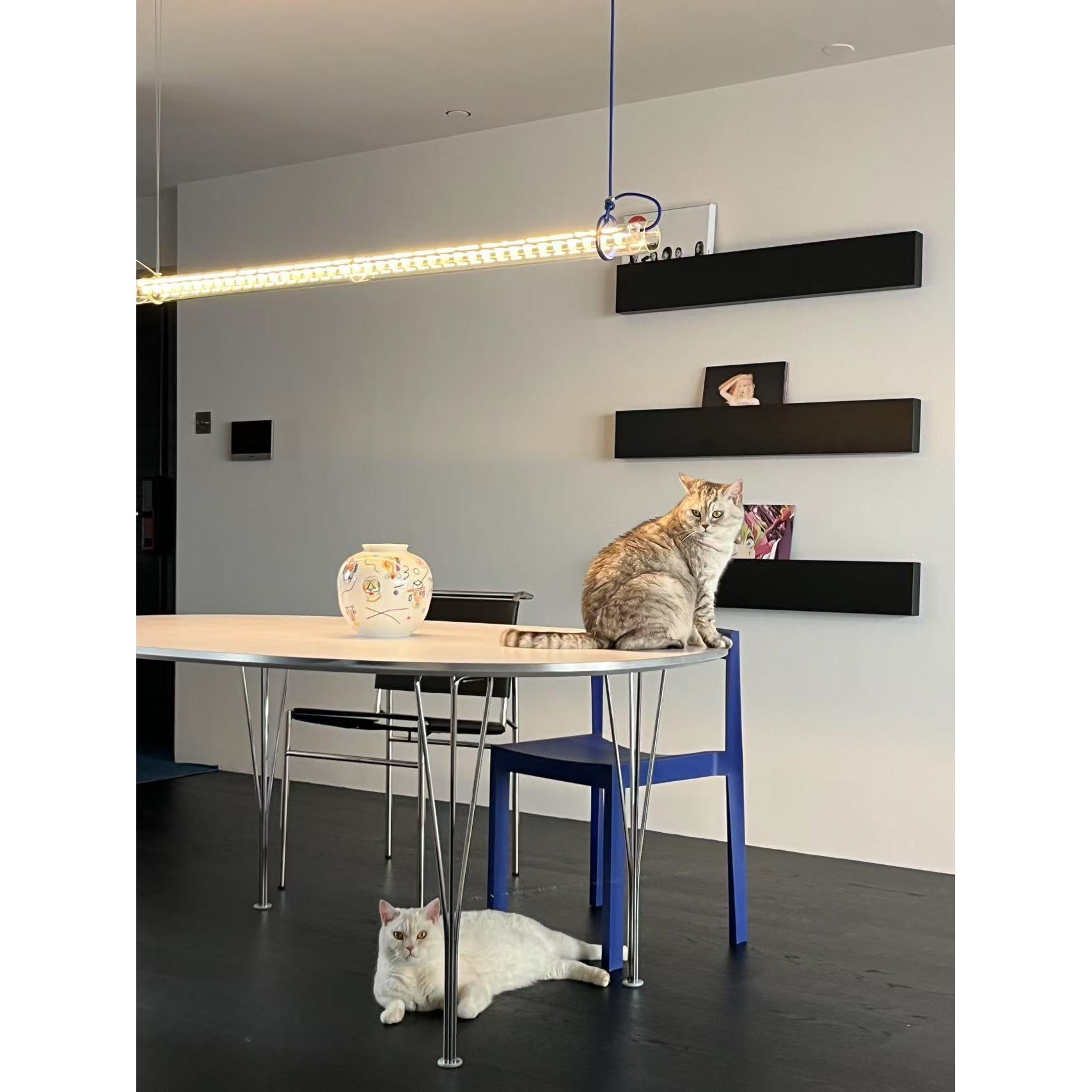 Cata Moderne Minimalisme Lineair LED Glas Licht Hanglamp
