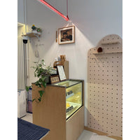 Cata Moderne Minimalisme Lineair LED Glas Licht Hanglamp