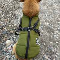 PawShield™ – De 3-in-1 Hondenjas