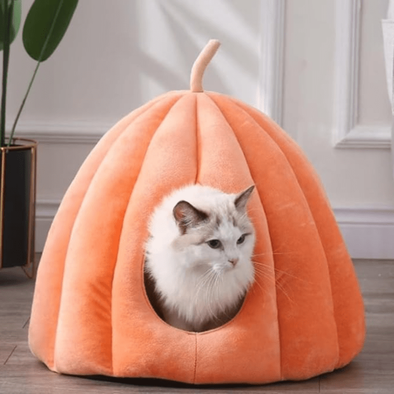CozyNest Pompoen Kat Bed – Warm, Wasbaar & Comfortabel Kattenhol
