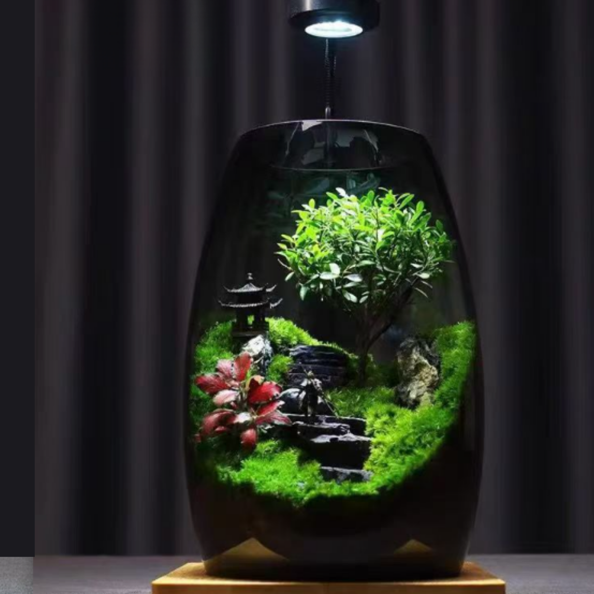 LushVista - Moslandschap Display