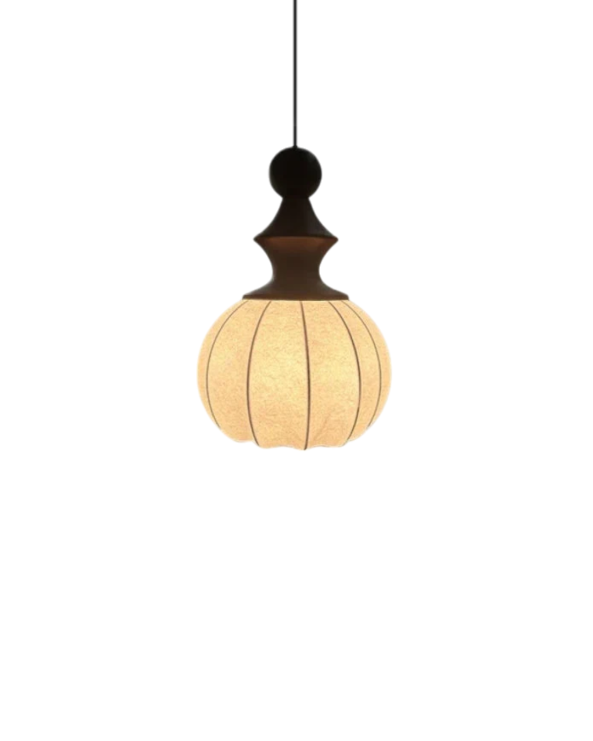 De Zijde Licht