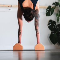 Calisthenics PowerBars – Sterke Houten Push-Up Steunen
