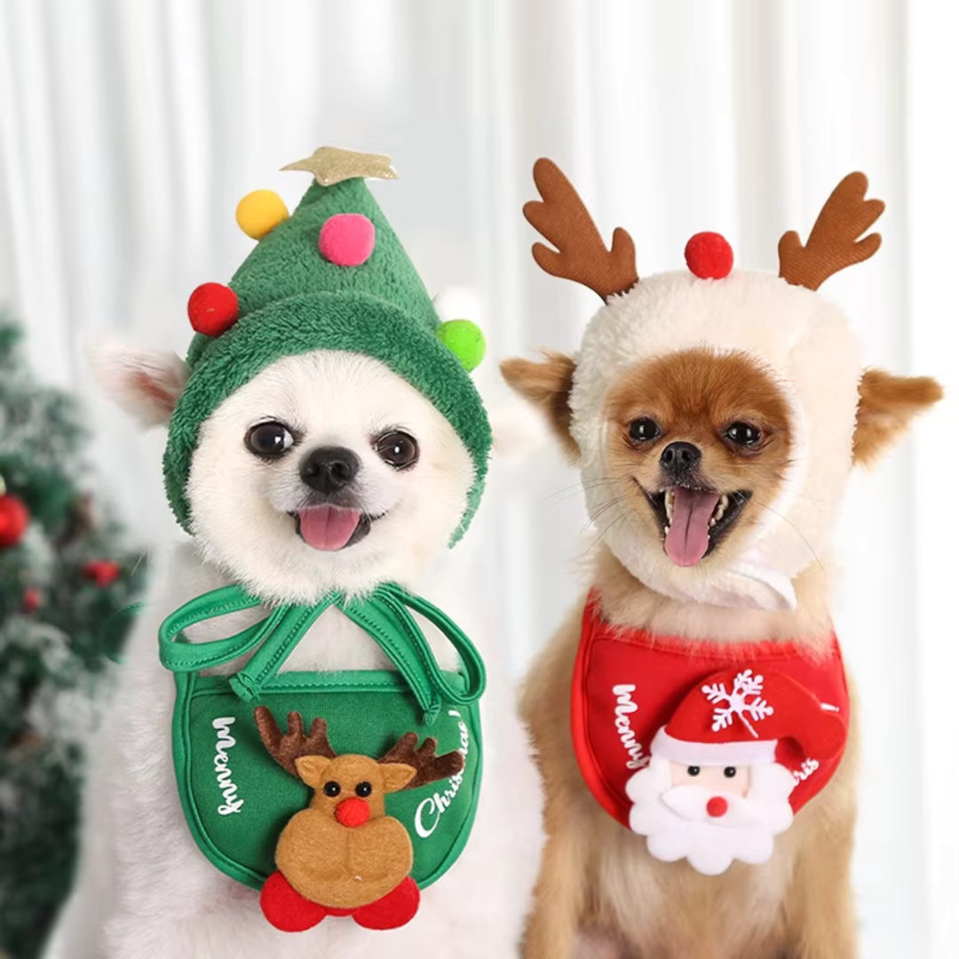 HolidayHat | Laat je huisdier deze feestdagen schitteren met de schattige hoed