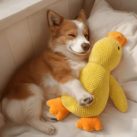 CalmQuack | Trakteer je hond op rust en plezier met eend kalmerend speelgoed