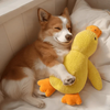 CalmQuack | Trakteer je hond op rust en plezier met eend kalmerend speelgoed