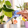Automatische Waterbolletjes | Zelfwaterende glazen bollen voor plantenverzorging