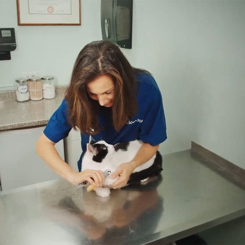 PawGuard Pro Nagelknipper met Slimme Snelsensor Technologie
