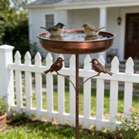 Vogelbad | Met Standaard | Robuuste Metalen Kom | BirdHaven