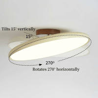 Fyne Verstelbare Plafondlamp Modern Ontwerp