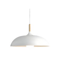 Noordse Stijl Houten IJzeren Kunst Hanglamp