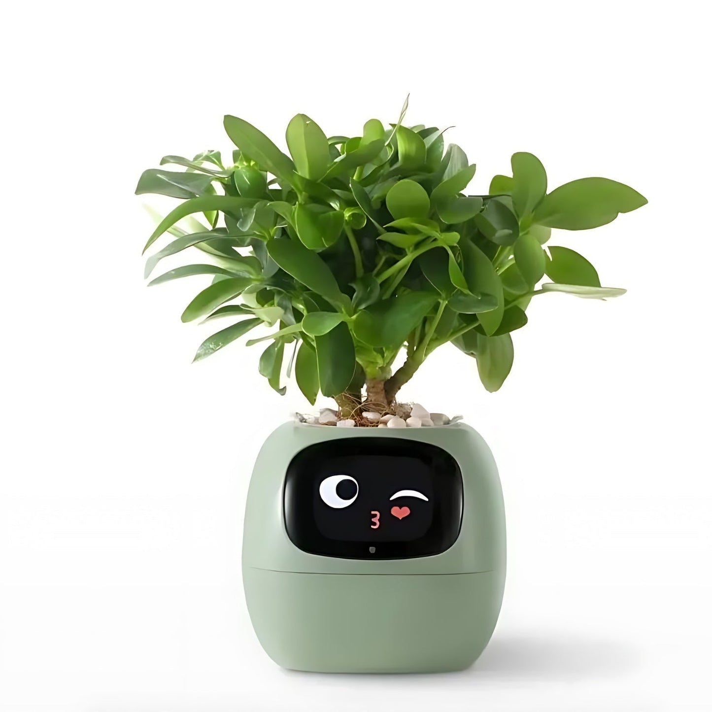 Automatische slimme bloempot - GreenBuddy SmartPot