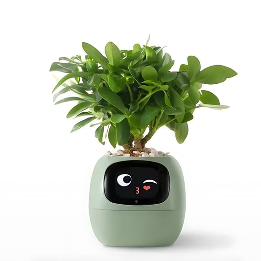 Automatische slimme bloempot - GreenBuddy SmartPot