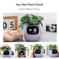 Automatische slimme bloempot - GreenBuddy SmartPot