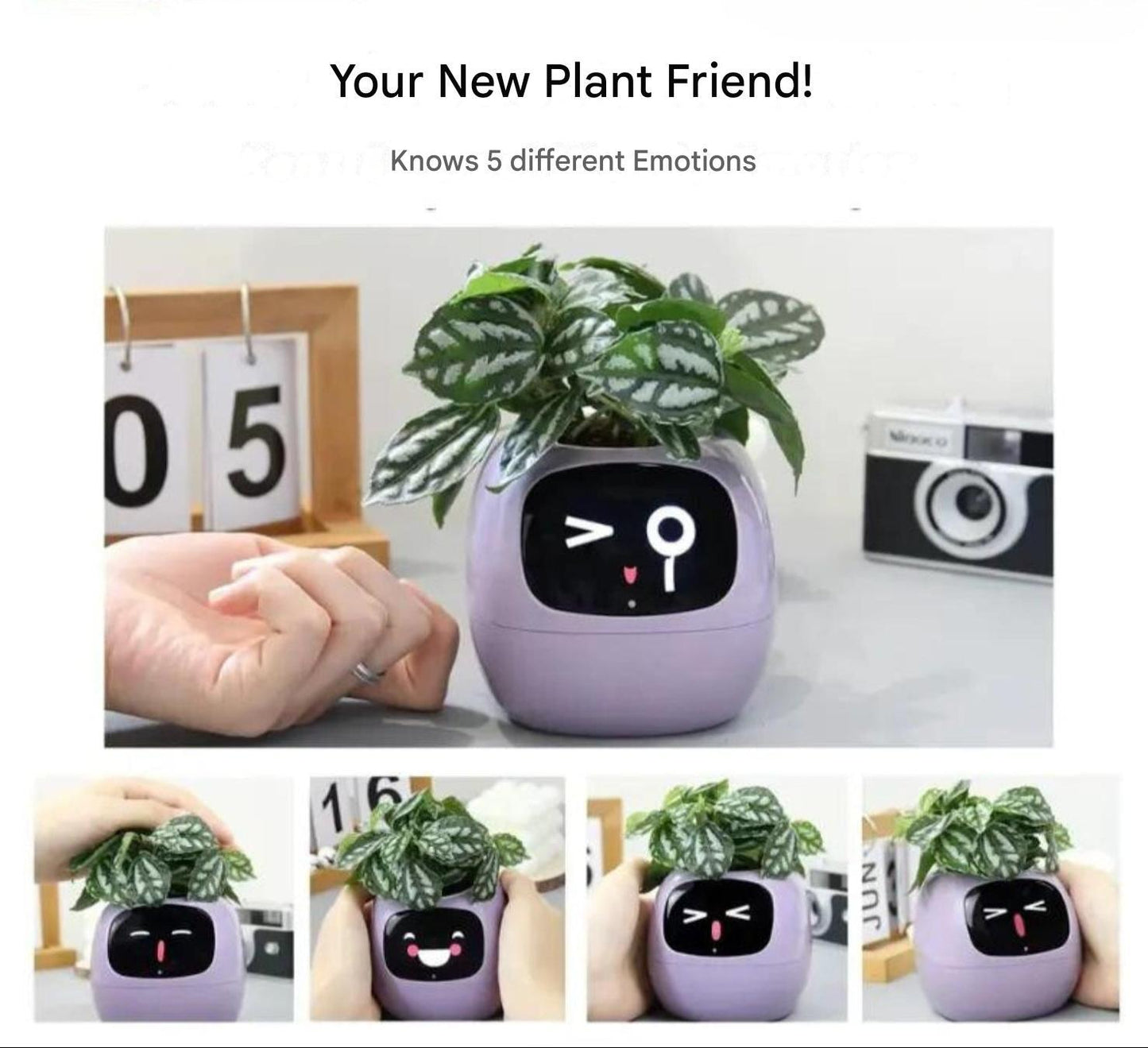 Automatische slimme bloempot - GreenBuddy SmartPot