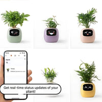 Automatische slimme bloempot - GreenBuddy SmartPot