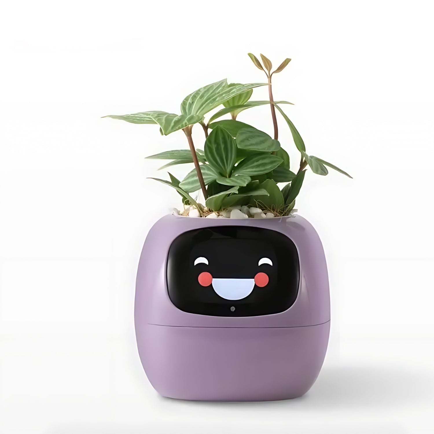 Automatische slimme bloempot - GreenBuddy SmartPot