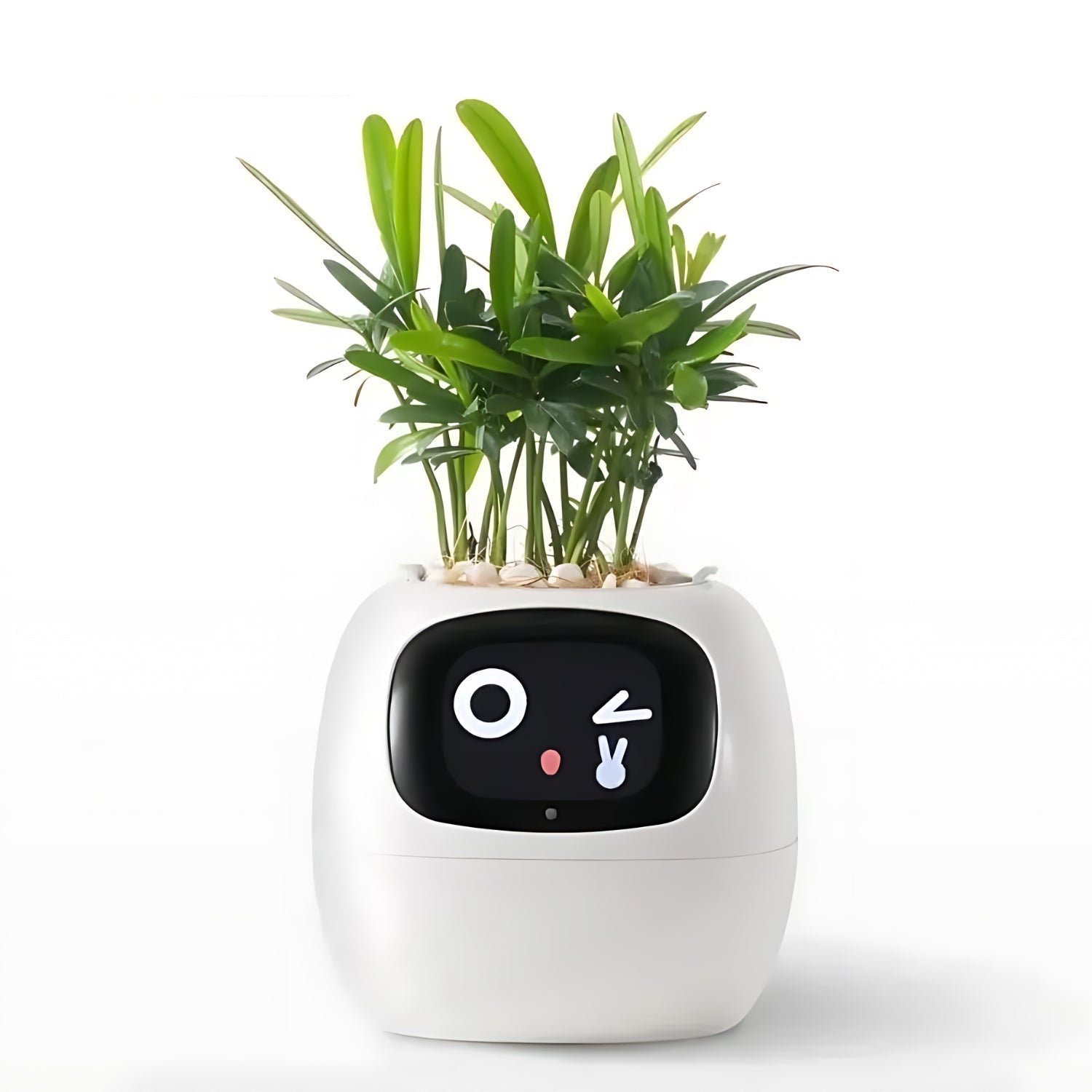Automatische slimme bloempot - GreenBuddy SmartPot