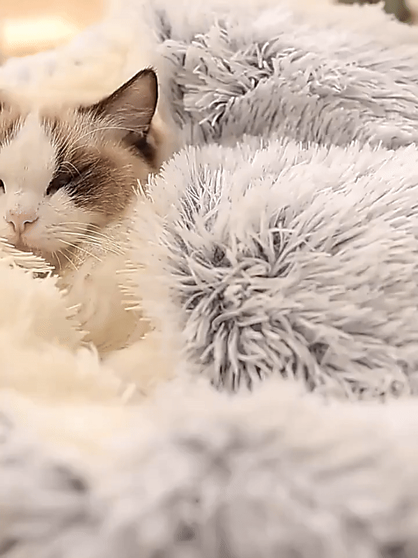 Skanto | Cozy Cave Pet Bed | Rustgevende en Comfortabele Hondenbed voor Diepe Ontspanning
