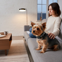 BarkEase | Trainingshalsband Blid voor Kleine Honden