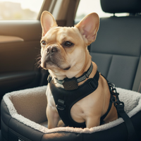 BarkEase | Trainingshalsband Blid voor Kleine Honden
