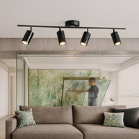Barre spots LED in zwart of goud aluminium Mounted