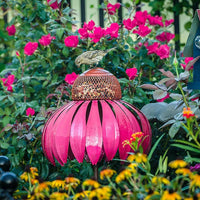 Coneflower Vogelvoeder