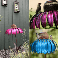 Coneflower Vogelvoeder