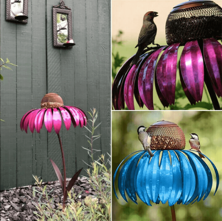 Coneflower Vogelvoeder