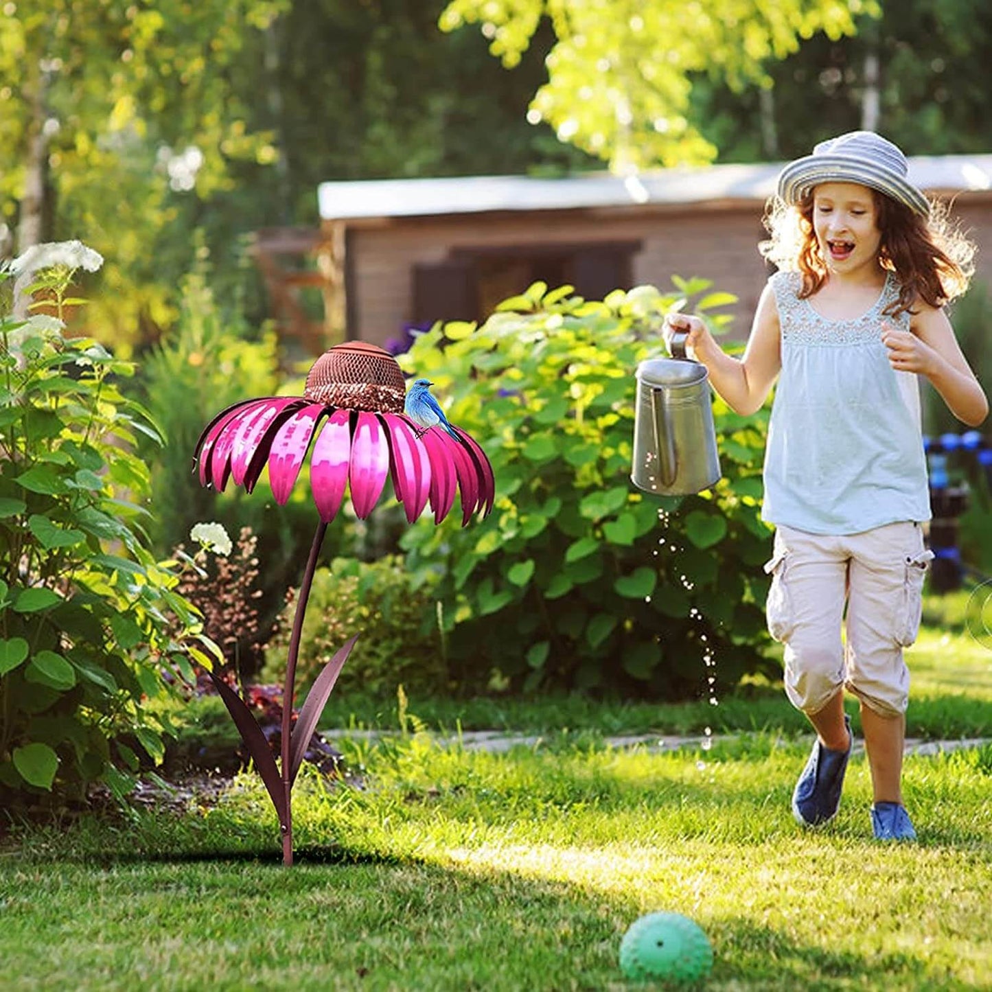 Coneflower Vogelvoeder