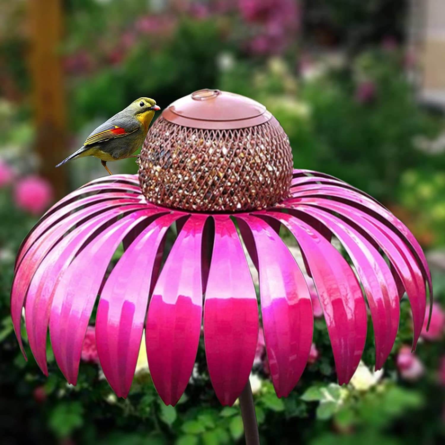 Coneflower Vogelvoeder