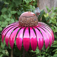 Coneflower Vogelvoeder