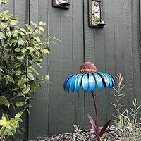 Coneflower Vogelvoeder