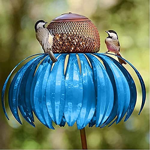 Coneflower Vogelvoeder