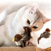 BirdHunting - Laat de natuurlijke jachtinstinct van uw kat tot bloei komen!