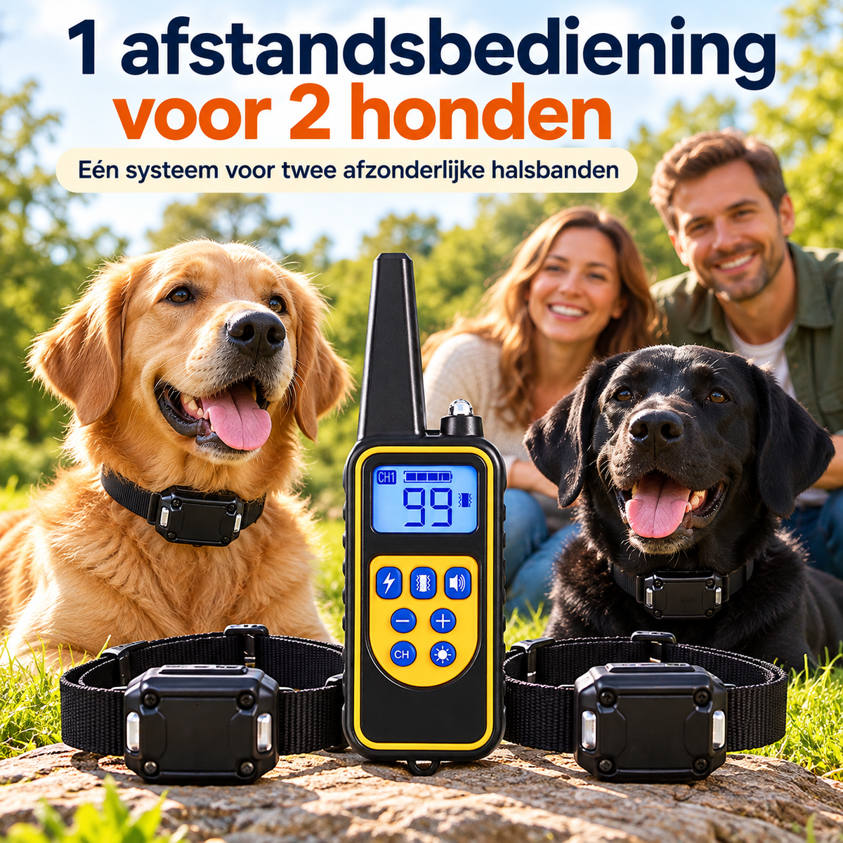 PROCANIS – Trainingshalsband voor 2 Honden met Afstandsbediening, 2 Ontvangers & 3 Modi