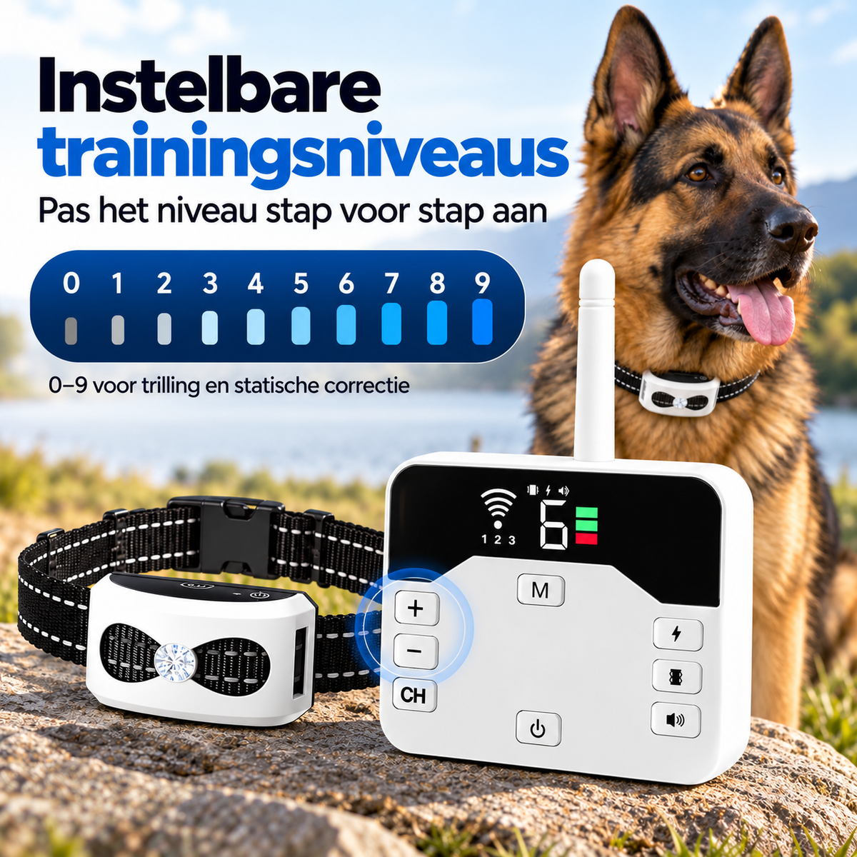 Trainingshalsband Grote Hond – 2-in-1 Draadloze Trainer met Bereik tot 300 m