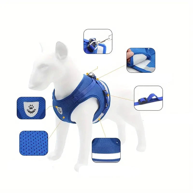 Purr Leash Kattenharnas | Houdt je huisdier zichtbaar en veilig tijdens avondwandelingen.
