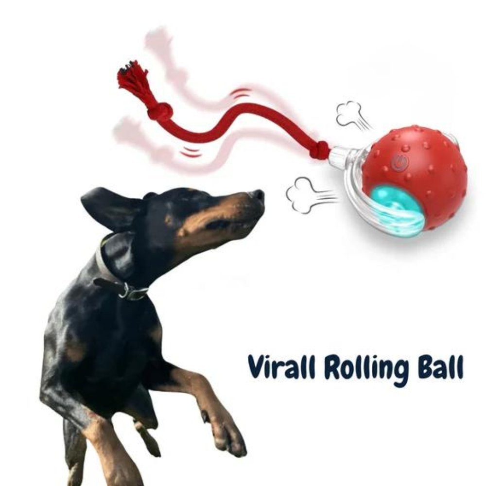 ChewRoll • Rollende Bal Speelgoed