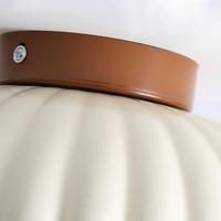 Clévorra | Elegante Plafondlamp – Verfijnd Ontwerp en Warme Verlichting