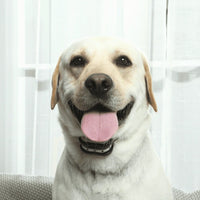 Draadloze Elektronische Omheining | Honden Trainhalsband