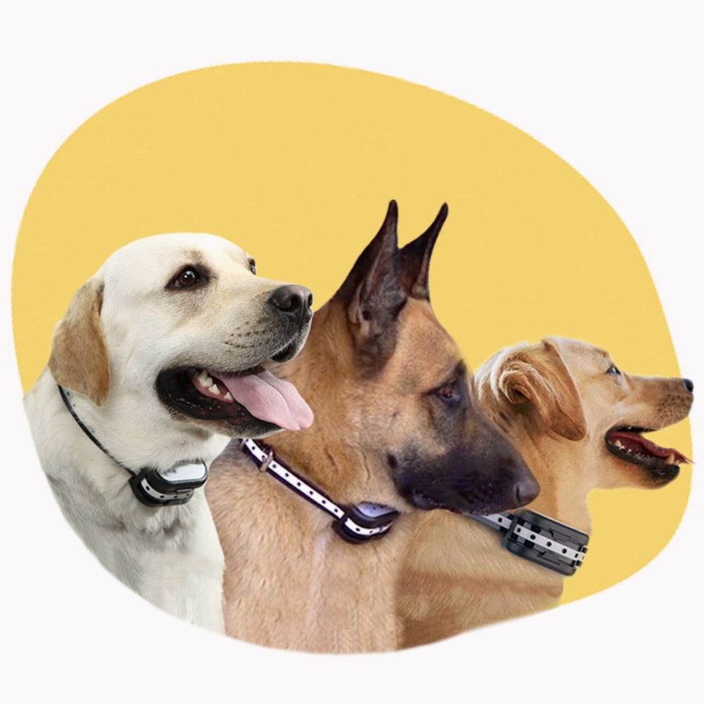 Draadloze Elektronische Omheining | Honden Trainhalsband