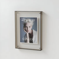 Moderner Designraam van Acryl in Kleur